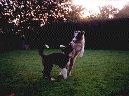 [Tania and her sister Frida playing, almost 4 Months]