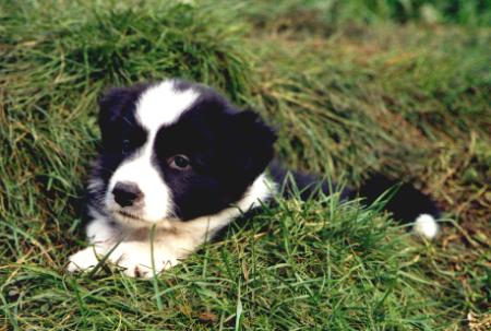 [Frida 7 weeks]