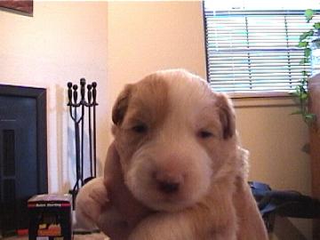 [Mikey 2 weeks]