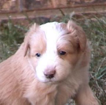 [Mikey 4 weeks]