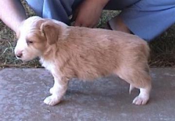 [Mikey 4 weeks]