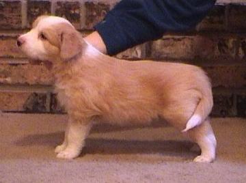 [Mikey 5 weeks]