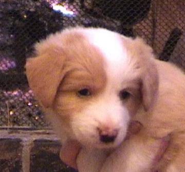 [Mikey 5 weeks]