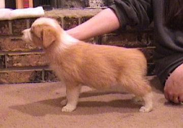 [Mikey 7 weeks]