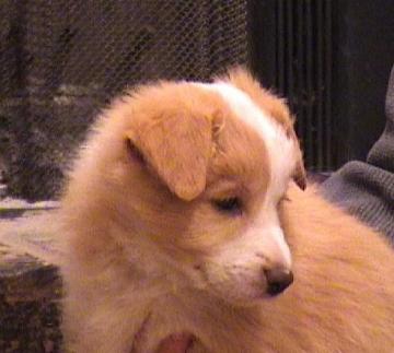 [Mikey 7 weeks]