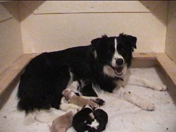 [Mikey with his mummy, sisters and brothers]