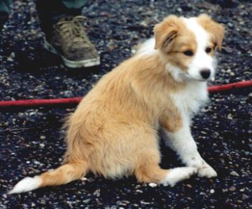 [Mikey 13 weeks]
